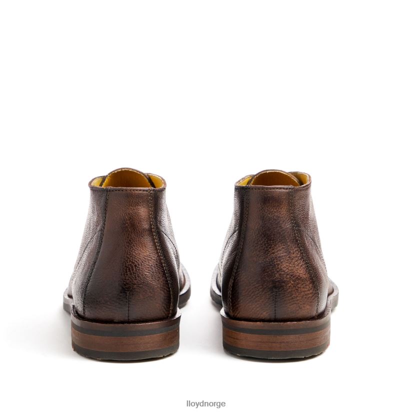 LLOYD hertug menn sko brun 4X82ZP43