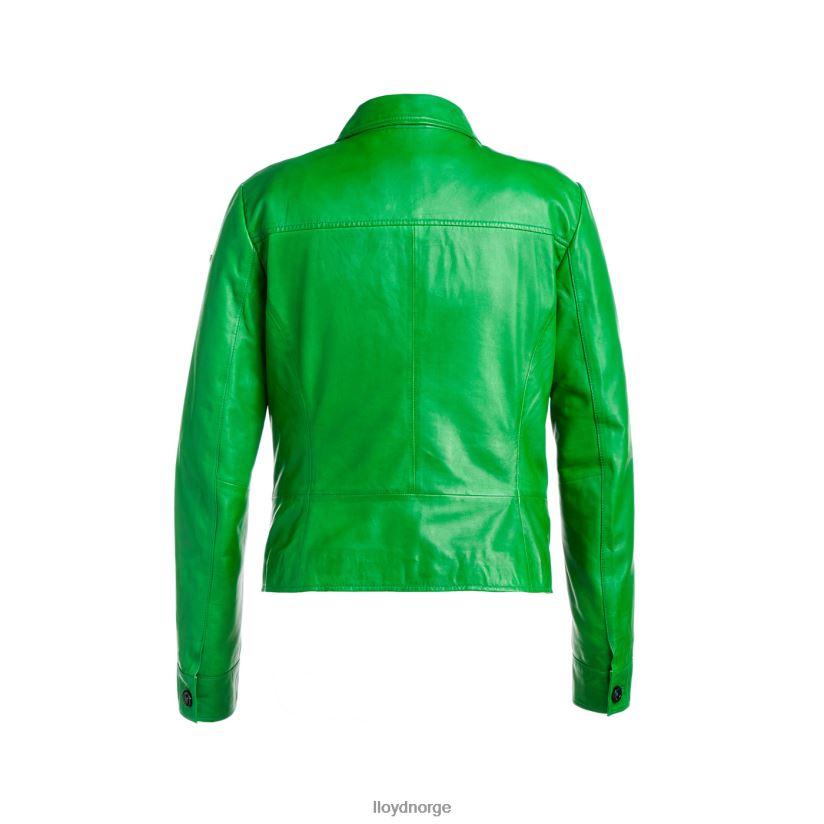 LLOYD herve kvinner klær grønn 4X82ZP1276