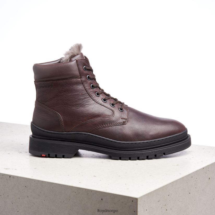 LLOYD hollis menn sko brun 4X82ZP509