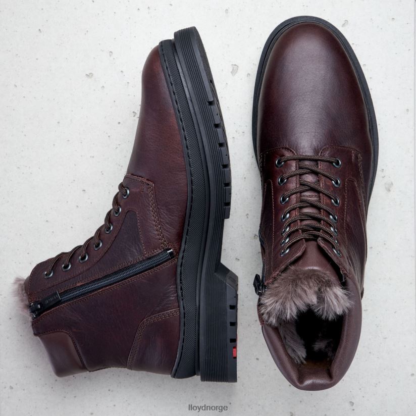 LLOYD hollis menn sko brun 4X82ZP509