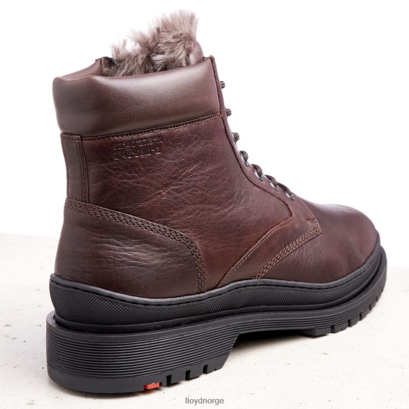 LLOYD hollis menn sko brun 4X82ZP509