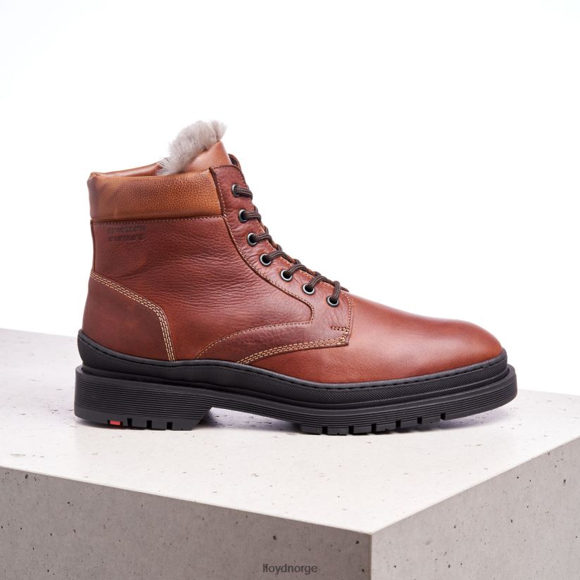 LLOYD hollis menn sko brun 4X82ZP537