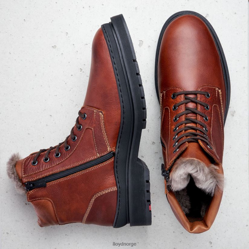 LLOYD hollis menn sko brun 4X82ZP537
