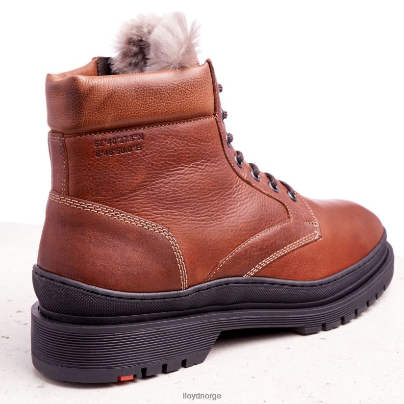 LLOYD hollis menn sko brun 4X82ZP537