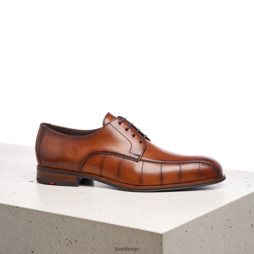 LLOYD honnør menn sko brun 4X82ZP224