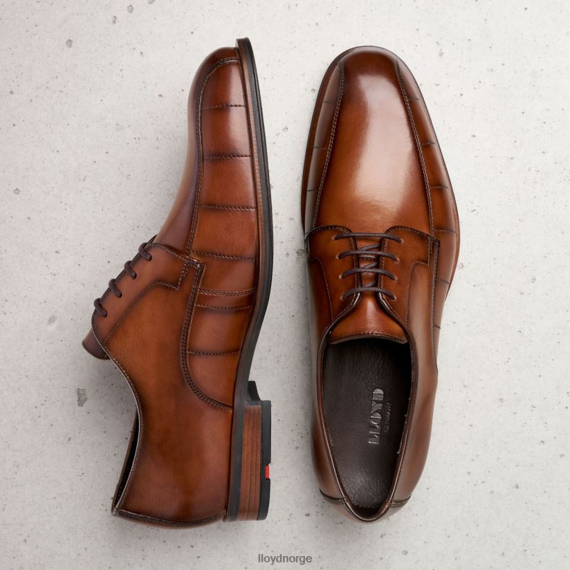 LLOYD honnør menn sko brun 4X82ZP224