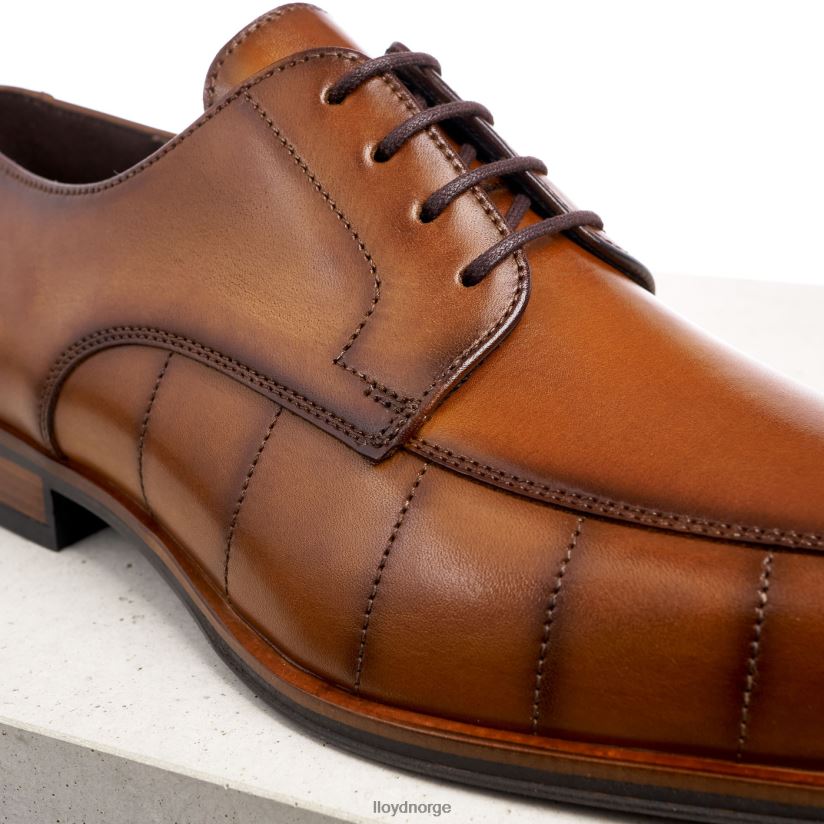 LLOYD honnør menn sko brun 4X82ZP224