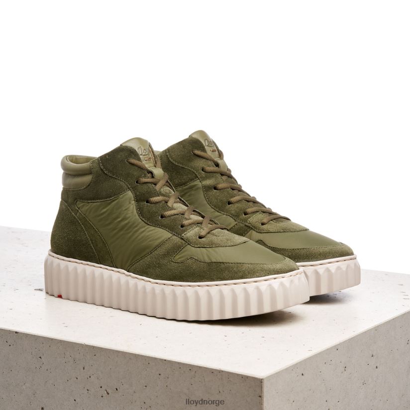 LLOYD høye sneakers kvinner sko grønn 4X82ZP769