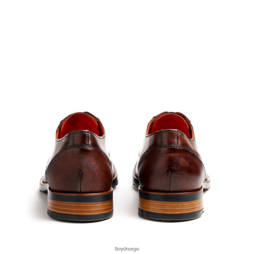 LLOYD jackson menn sko brun 4X82ZP46