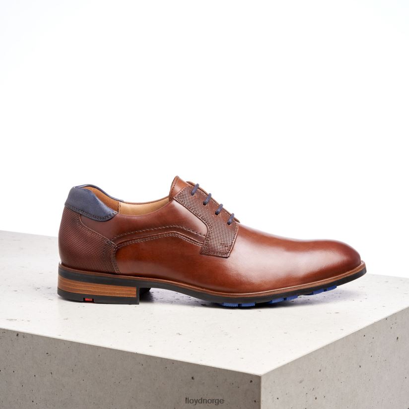LLOYD jake menn sko brun 4X82ZP199