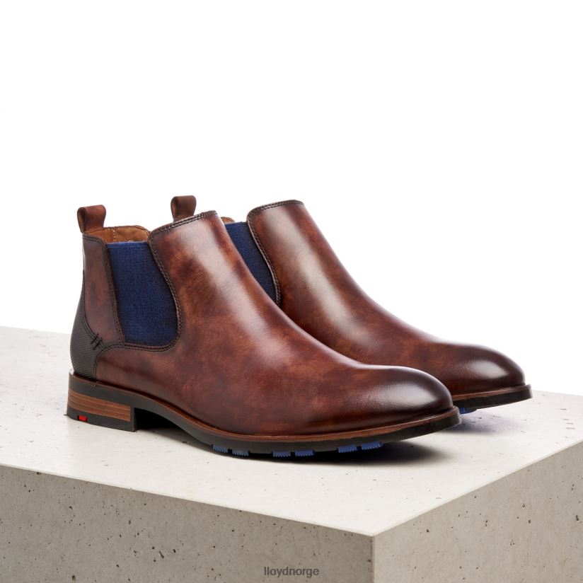 LLOYD jaser menn sko brun 4X82ZP200