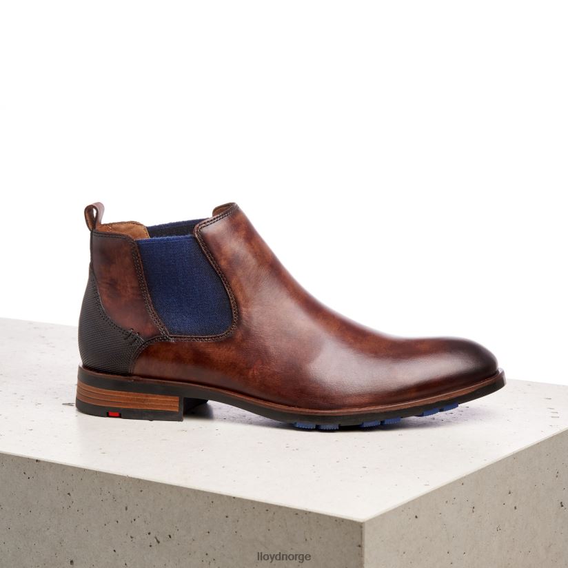 LLOYD jaser menn sko brun 4X82ZP200