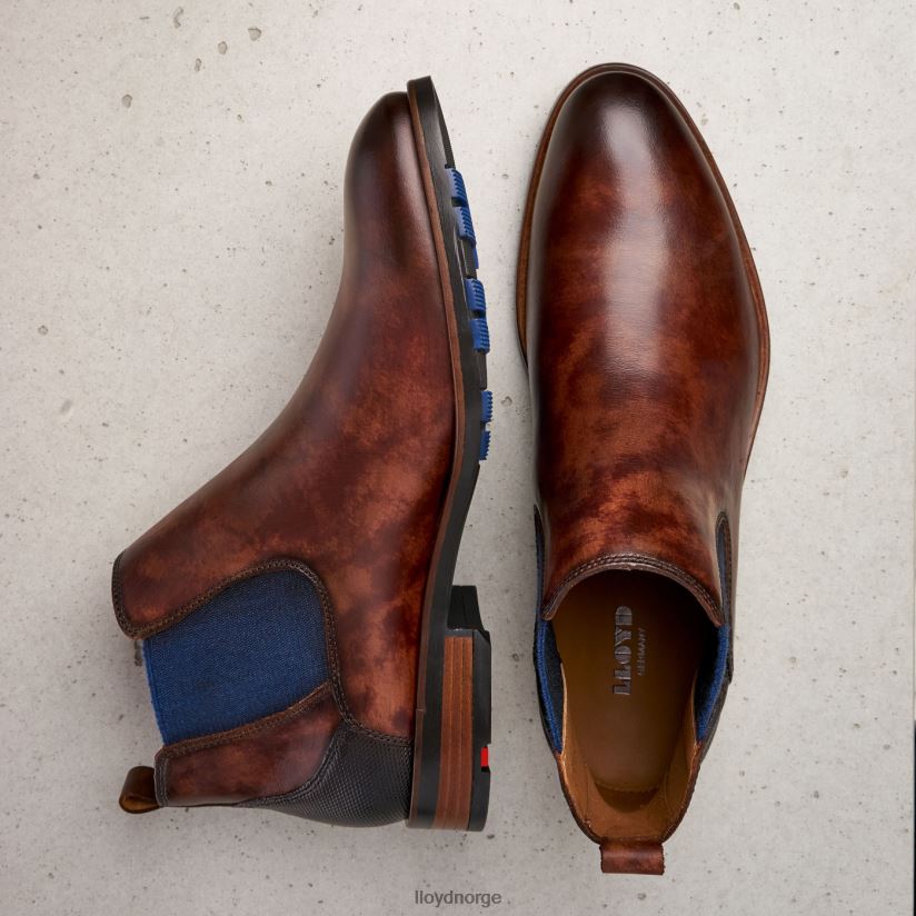 LLOYD jaser menn sko brun 4X82ZP200