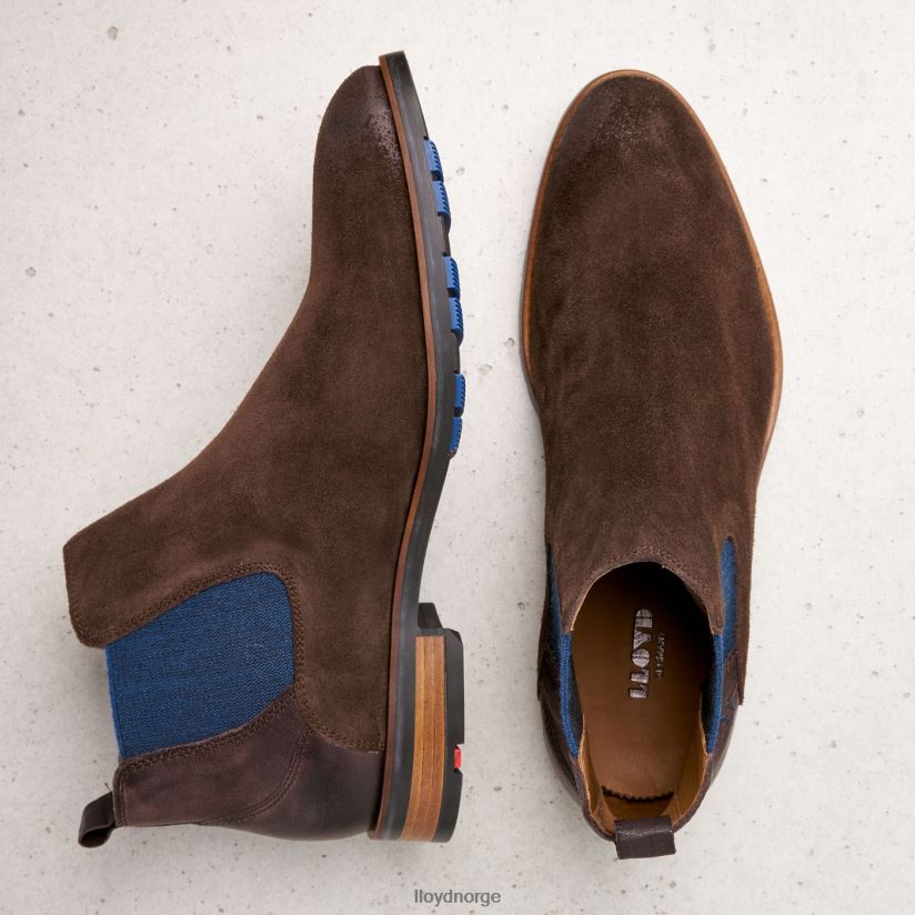 LLOYD jaser menn sko brun 4X82ZP496