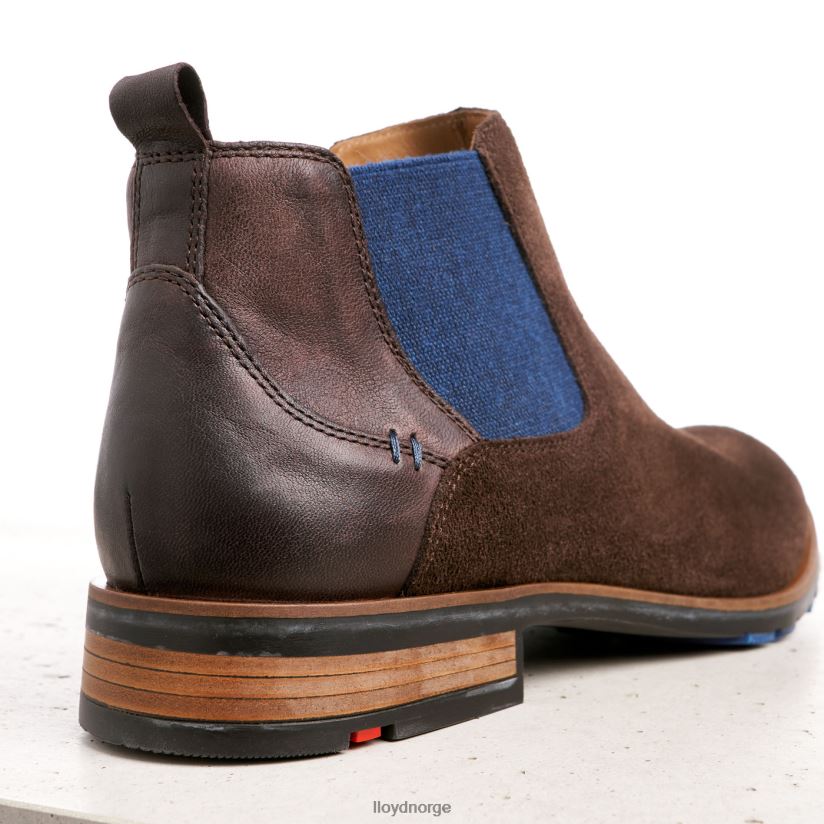 LLOYD jaser menn sko brun 4X82ZP496