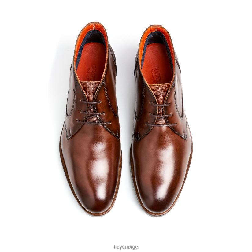 LLOYD jeffrey menn sko brun 4X82ZP471