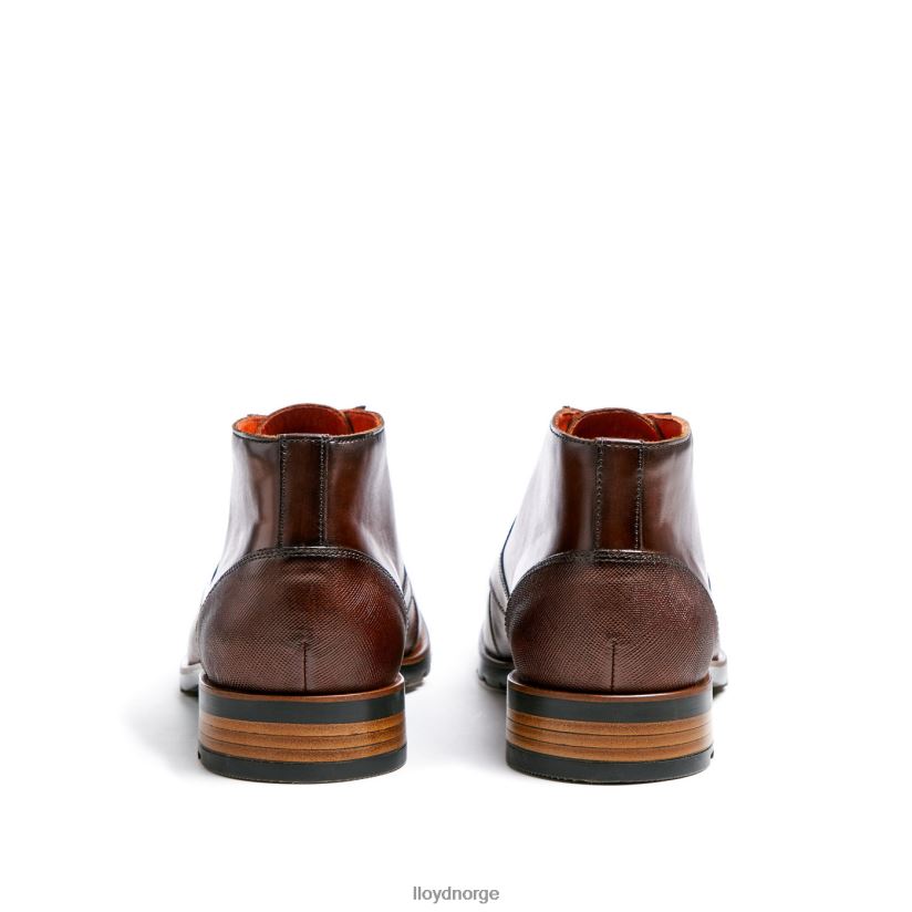 LLOYD jeffrey menn sko brun 4X82ZP471