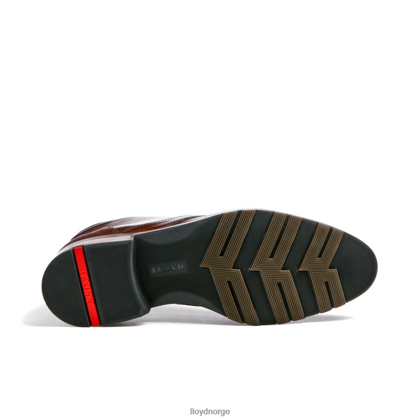 LLOYD jeffrey menn sko brun 4X82ZP471