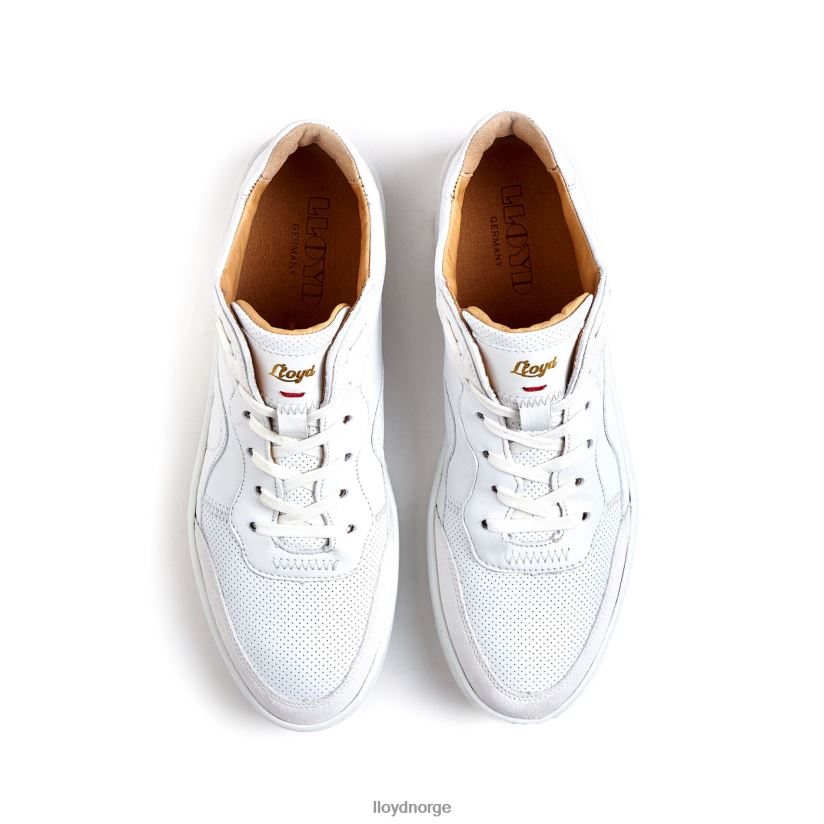 LLOYD joggesko i glatt skinn kvinner sko hvit 4X82ZP756