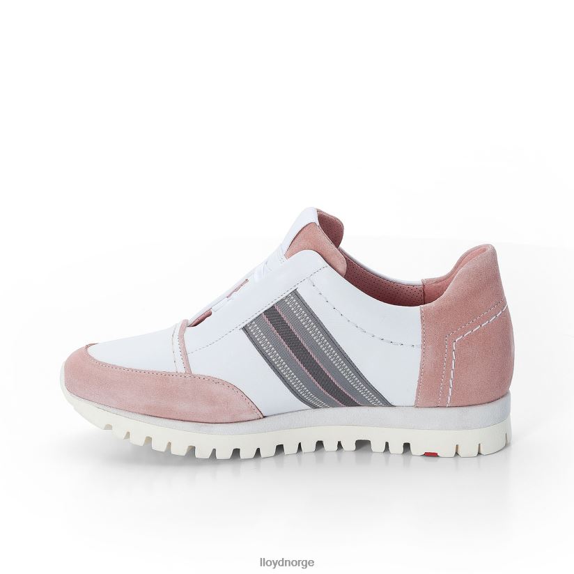 LLOYD joggesko kvinner sko hvit 4X82ZP848