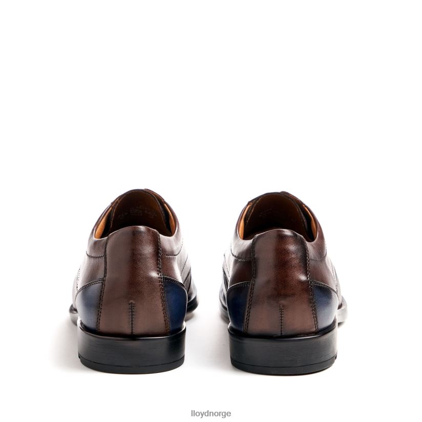 LLOYD kain (ekstravid) menn sko brun 4X82ZP51