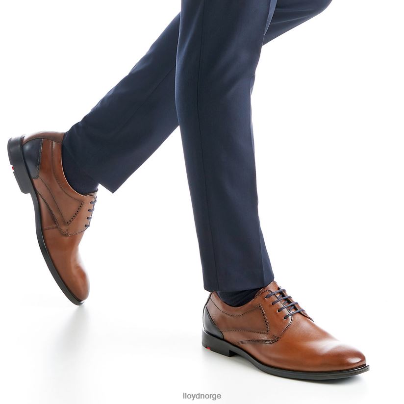 LLOYD kalmar (ekstravid) menn sko brun 4X82ZP94