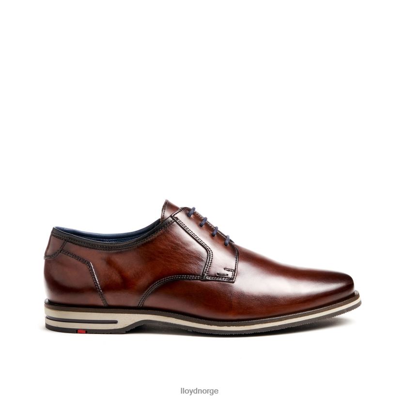 LLOYD kamp (ekstravid) menn sko brun 4X82ZP53
