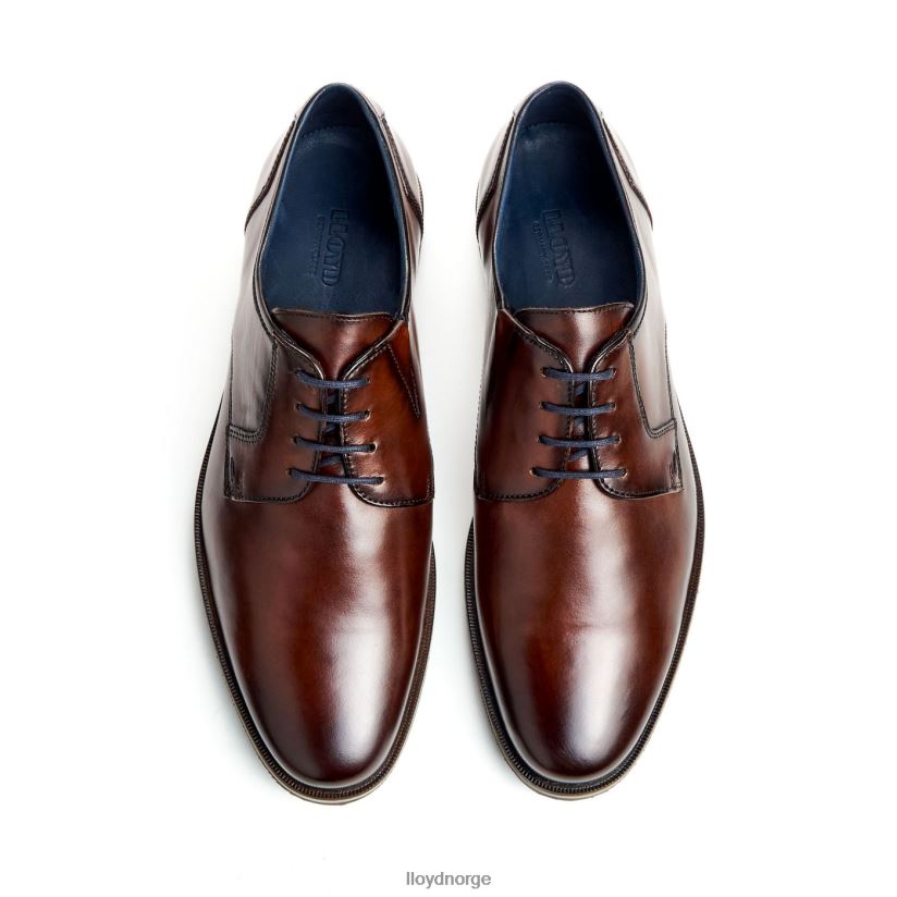 LLOYD kamp (ekstravid) menn sko brun 4X82ZP53