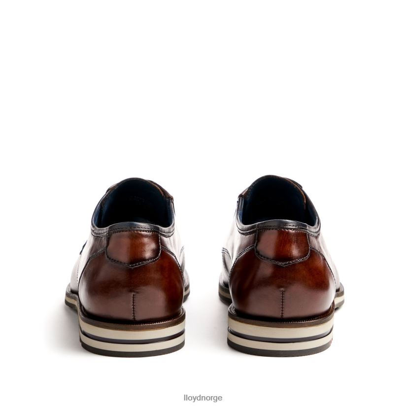 LLOYD kamp (ekstravid) menn sko brun 4X82ZP53