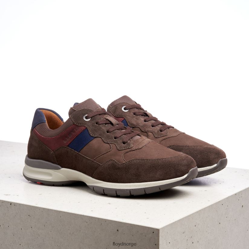 LLOYD kant (ekstravid) menn sko brun 4X82ZP399