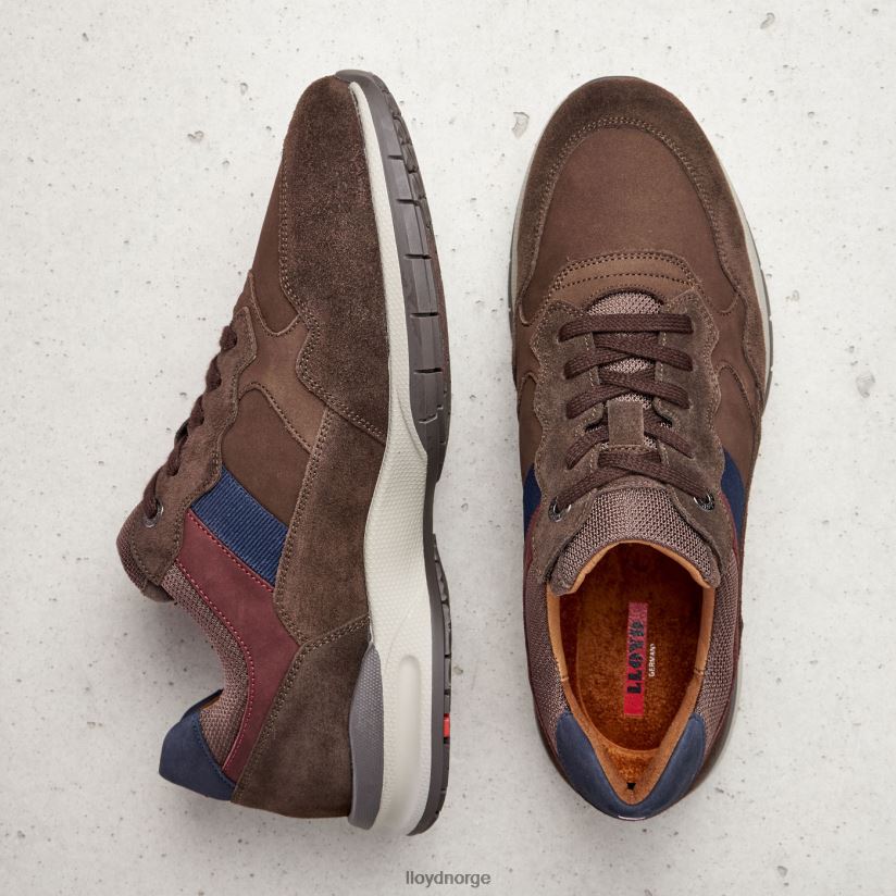 LLOYD kant (ekstravid) menn sko brun 4X82ZP399
