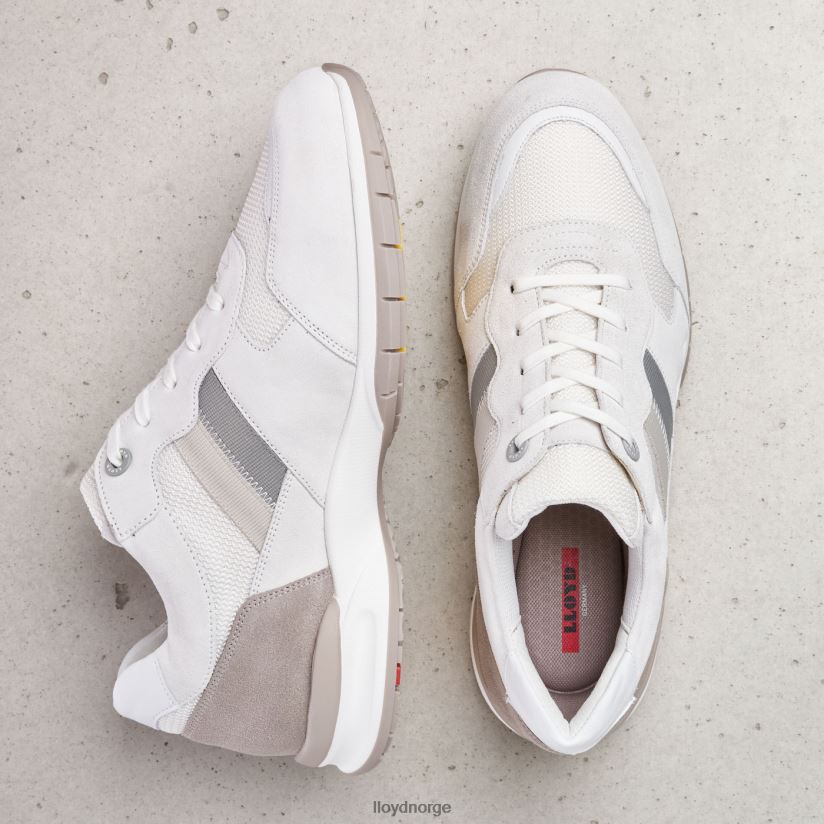 LLOYD kap (ekstravid) menn sko hvit 4X82ZP376