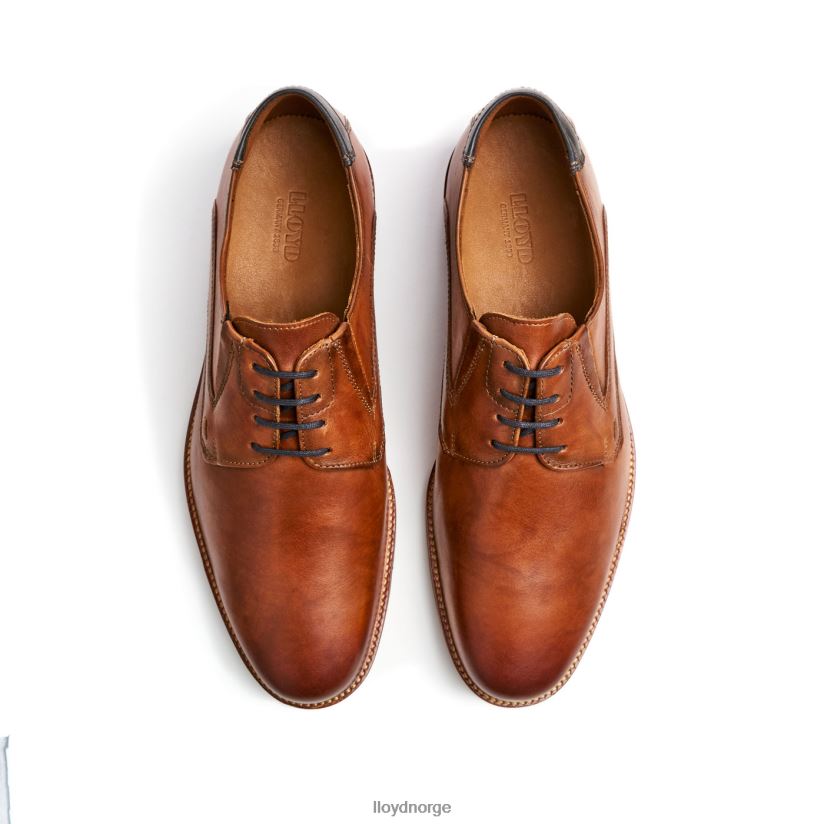 LLOYD kazan (ekstra bred) menn sko brun 4X82ZP110