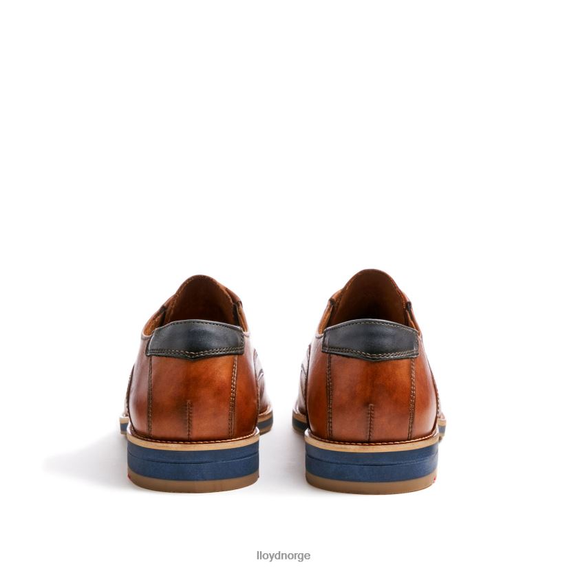 LLOYD kazan (ekstra bred) menn sko brun 4X82ZP110