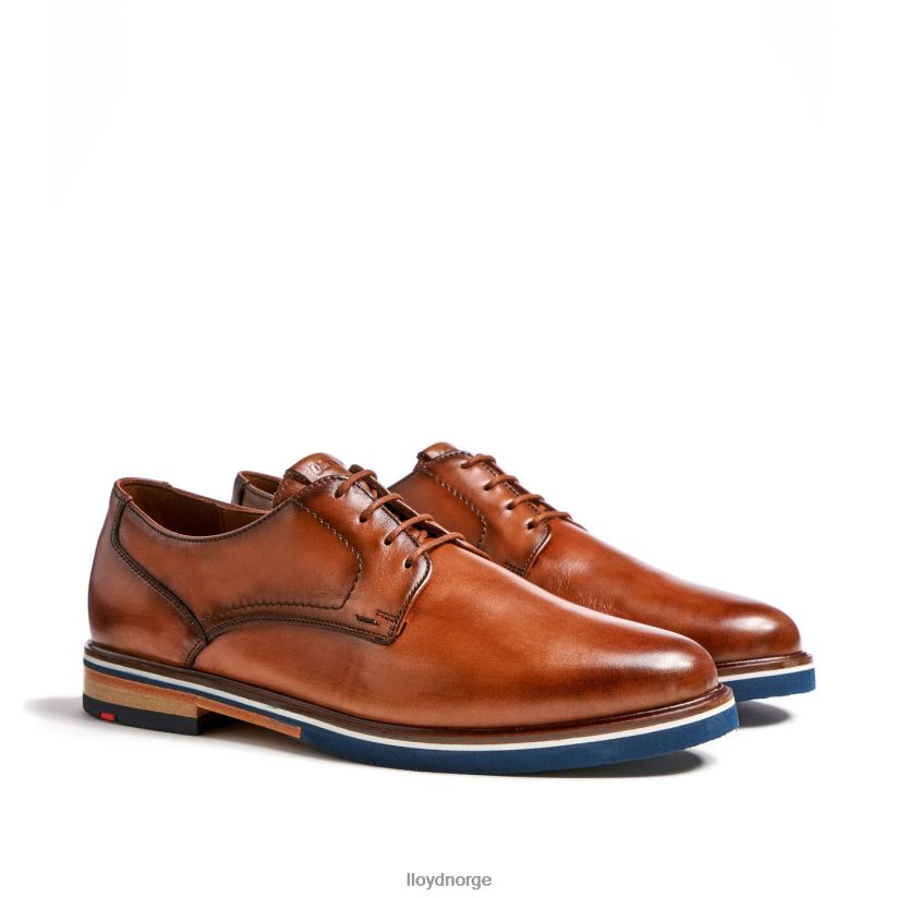 LLOYD keast (ekstra bred) menn sko brun 4X82ZP207