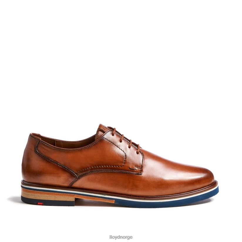 LLOYD keast (ekstra bred) menn sko brun 4X82ZP207