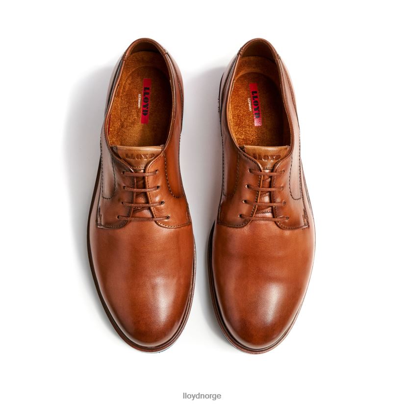 LLOYD keast (ekstra bred) menn sko brun 4X82ZP207