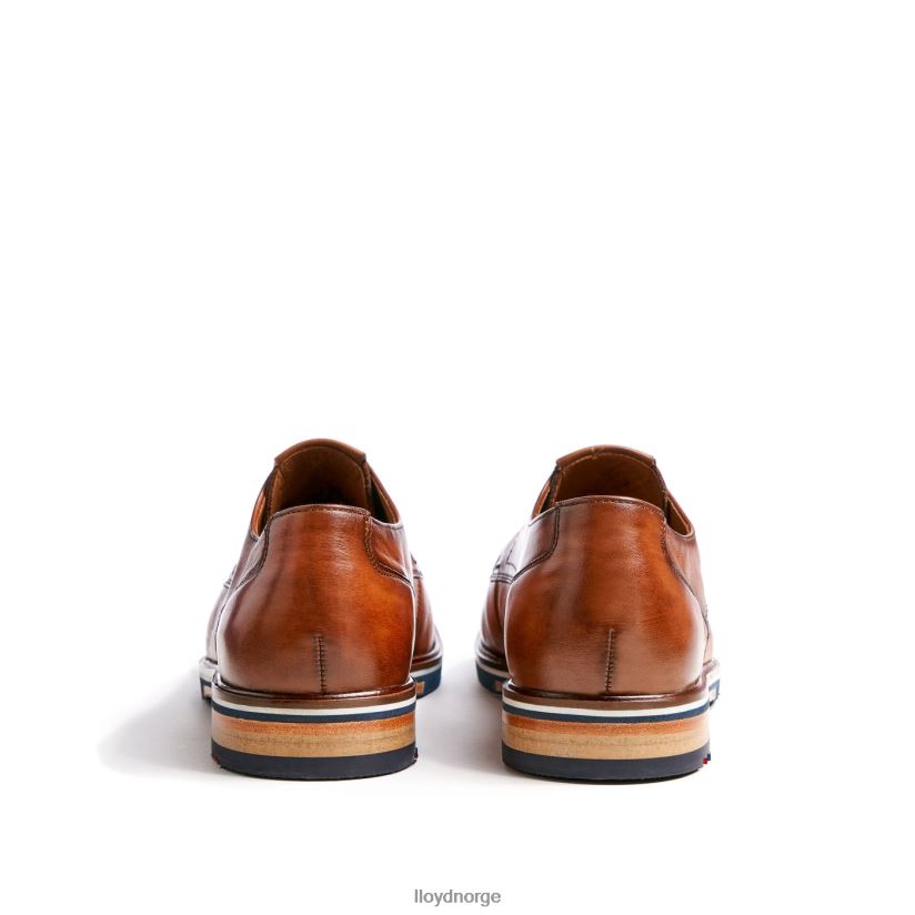 LLOYD keast (ekstra bred) menn sko brun 4X82ZP207