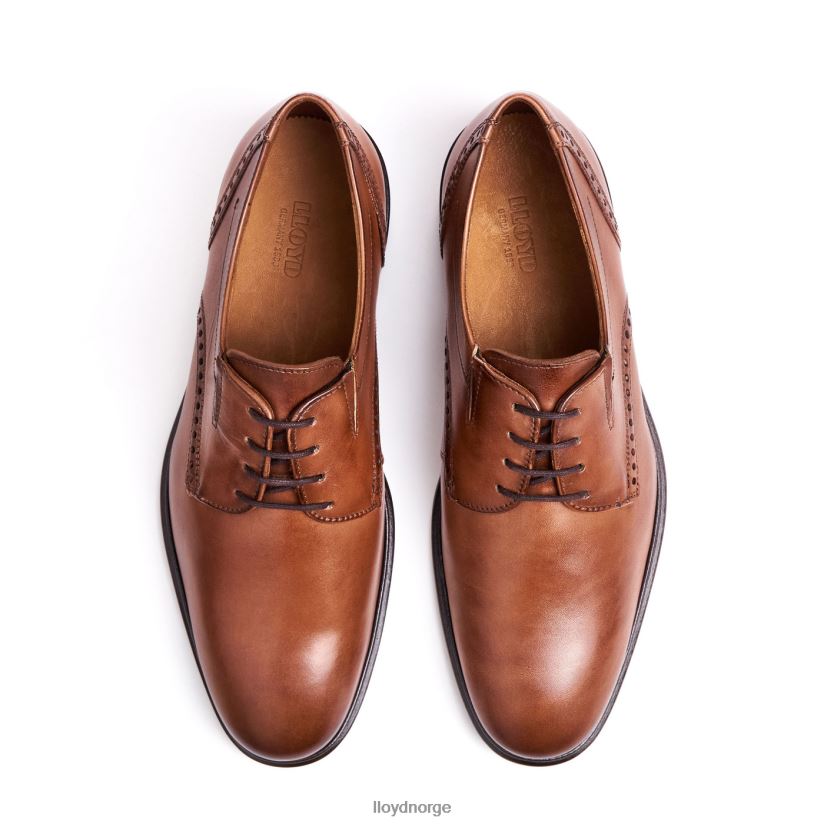 LLOYD koog (ekstravid) menn sko brun 4X82ZP75