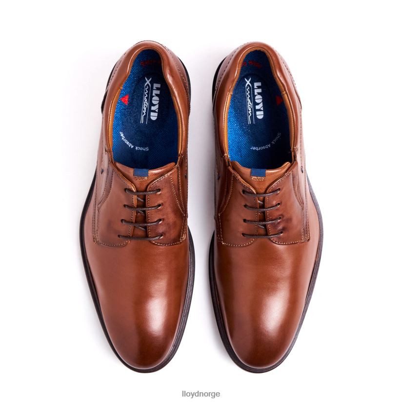 LLOYD kos (ekstravid) menn sko brun 4X82ZP142