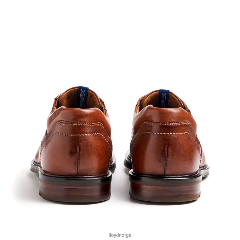 LLOYD kos (ekstravid) menn sko brun 4X82ZP142