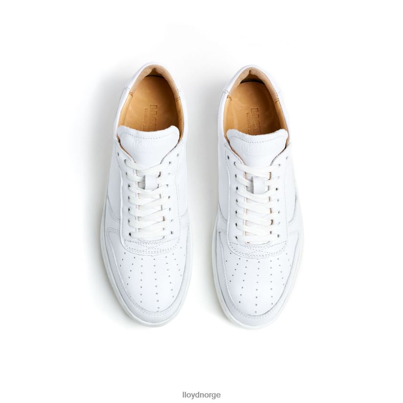 LLOYD lav topp skinn joggesko kvinner sko hvit 4X82ZP765