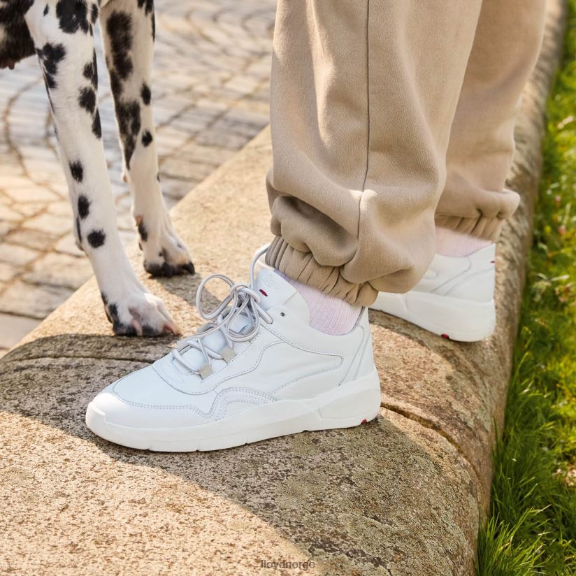 LLOYD lav topp skinn joggesko kvinner sko hvit 4X82ZP829