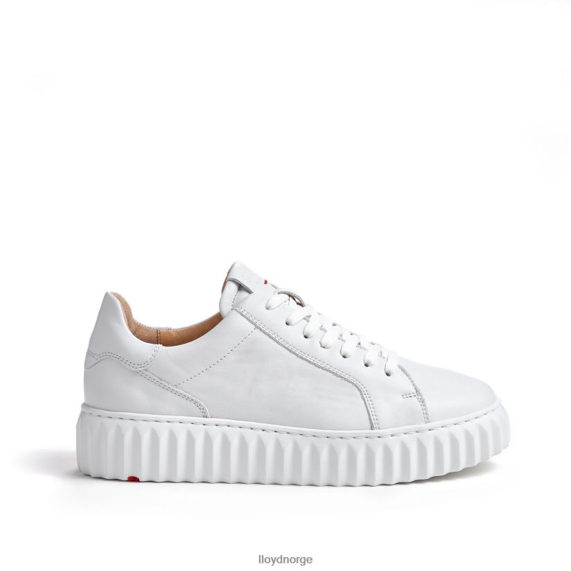 LLOYD lav topp sneaker kvinner sko hvit 4X82ZP761
