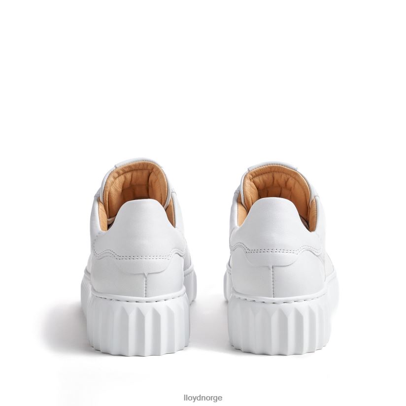 LLOYD lav topp sneaker kvinner sko hvit 4X82ZP761