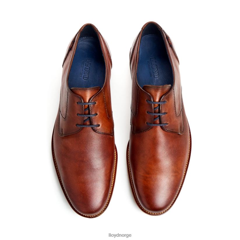 LLOYD laval menn sko brun 4X82ZP41