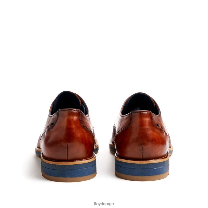 LLOYD laval menn sko brun 4X82ZP41