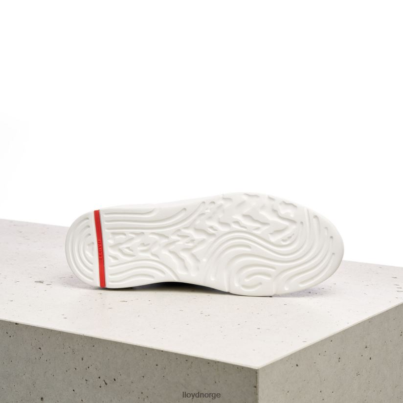 LLOYD lave joggesko kvinner sko grønn 4X82ZP1351