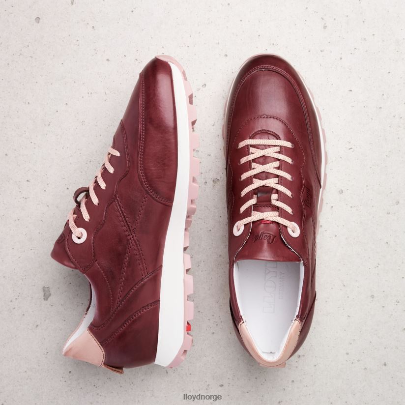 LLOYD lave joggesko kvinner sko rød 4X82ZP803