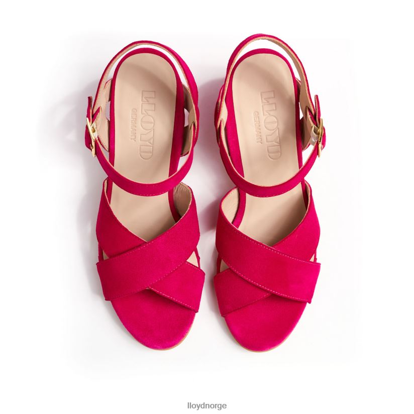 LLOYD lette sandaler kvinner sko rosa 4X82ZP1162